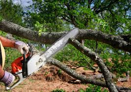Lawn Irrigation Installation and Maintenance in Cowpens, SC